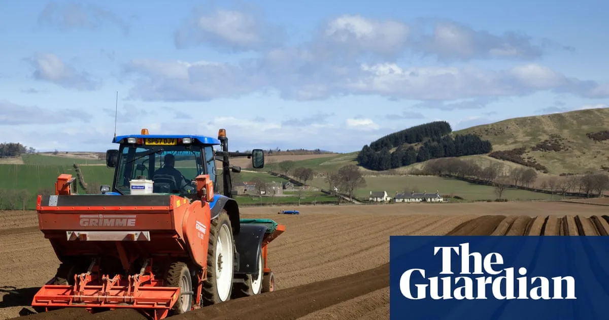 UK Faces Looming Threat of Food Shortages and Anarchy