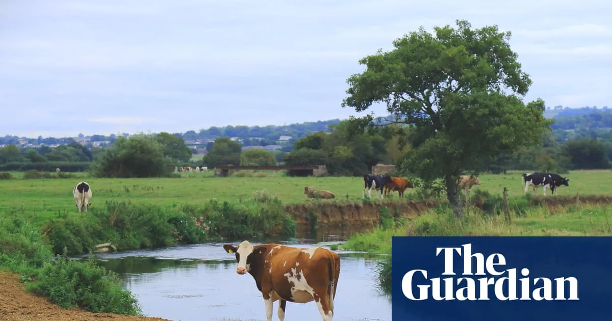 UK Farmers Paid To Protect Waterways In New Scheme