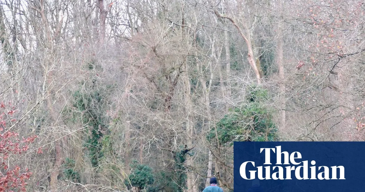 UK braces for snow and ice as Arctic air brings freezing start to 2026
