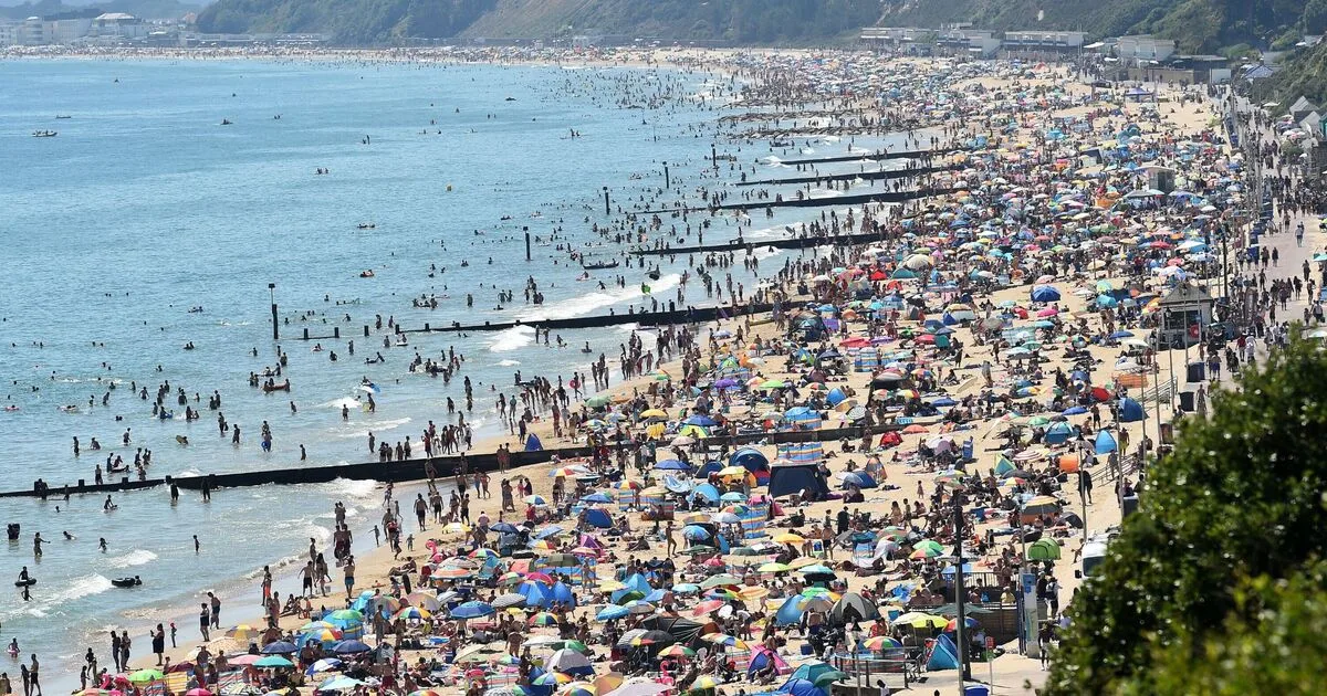 Second UK heatwave expected in August with potential for mid-30C temperatures