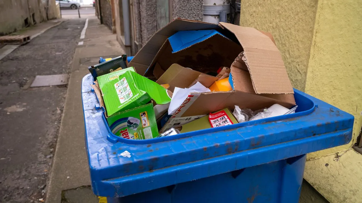 UK Law on Neighbours' Bins Left Out All Day: What Are Your Rights?