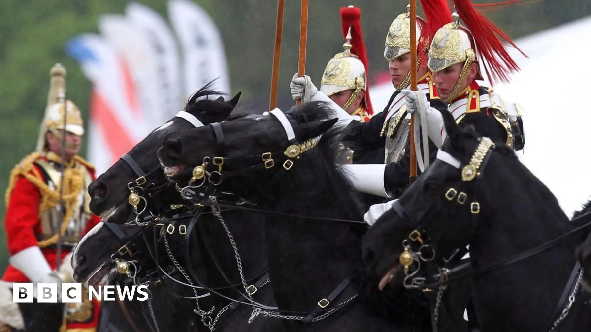 UK Army Has More Horses Than Tanks, Says Treasury Minister