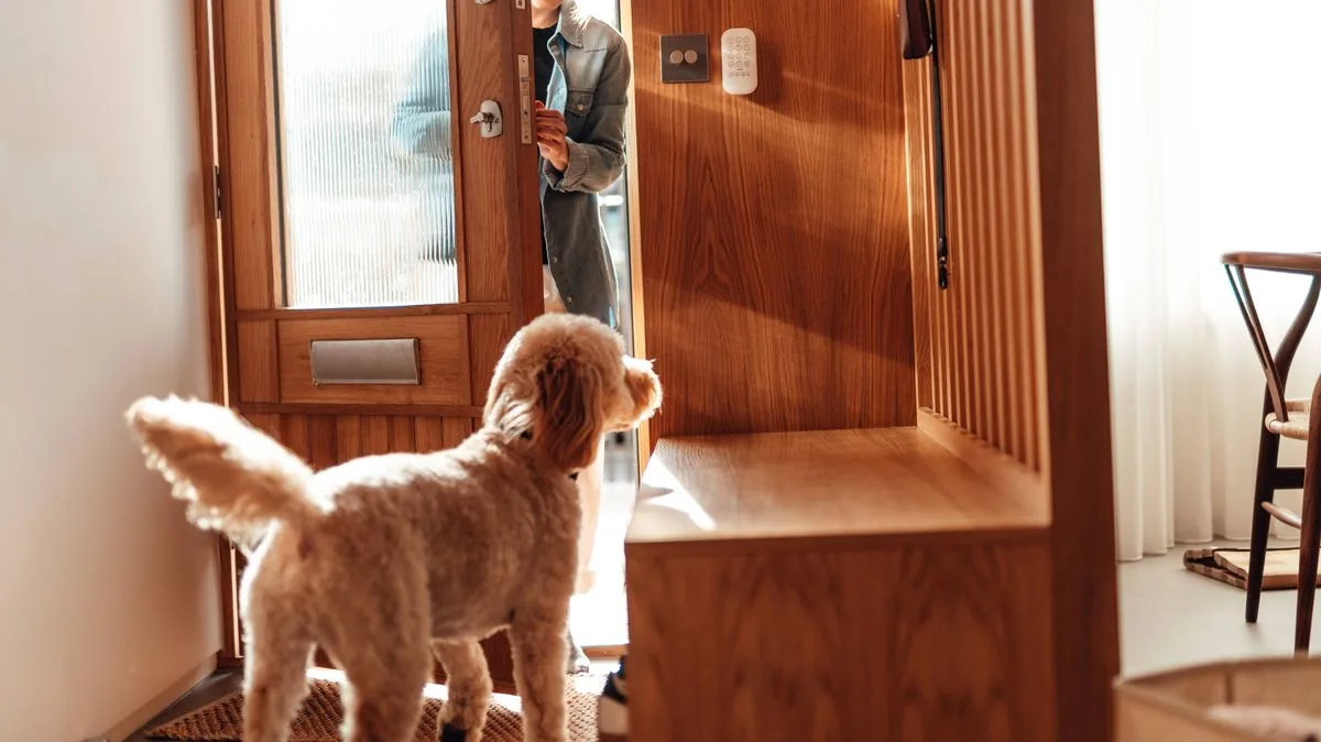 UK Pet Laws: What You Must Know Before Leaving Your Cat or Dog Home Alone