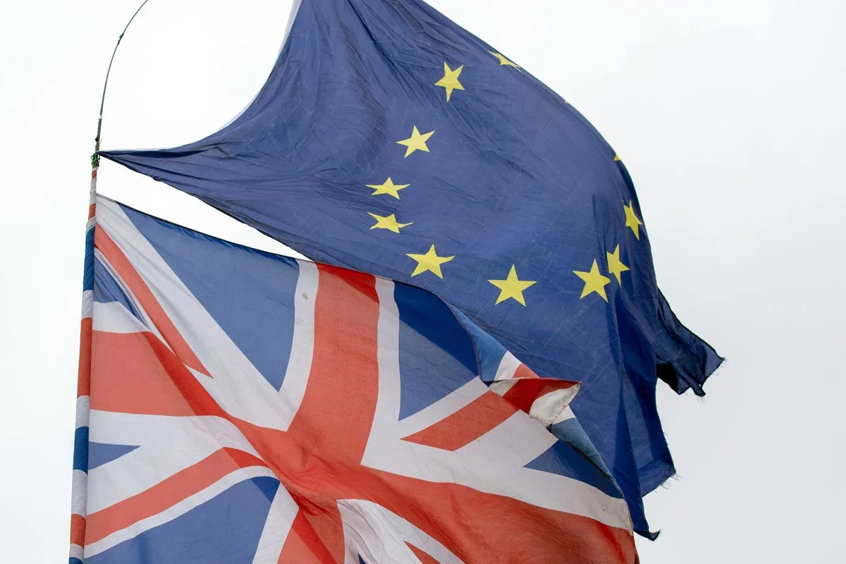 Treasury Minister Says UK Rejoining EU Is 'Inevitable'