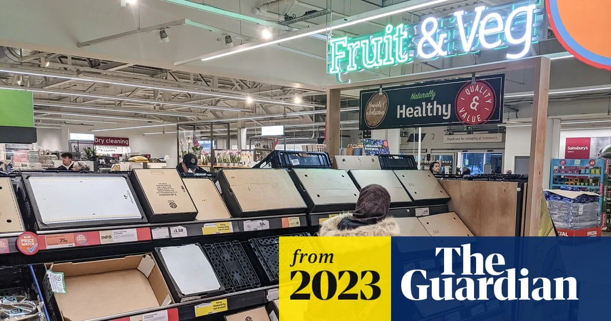 UK Supermarkets Warn of More Fruit and Vegetable Shortages After Extreme Weather