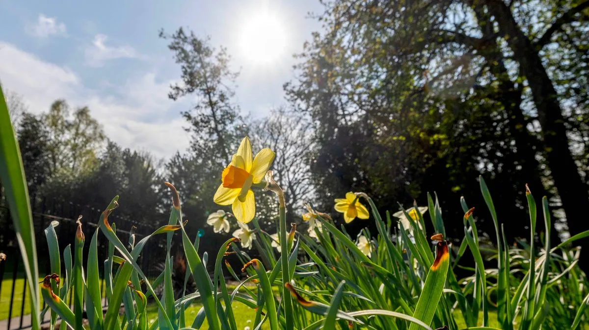 UK Set for 26C Bank Holiday Weekend, Met Office Confirms