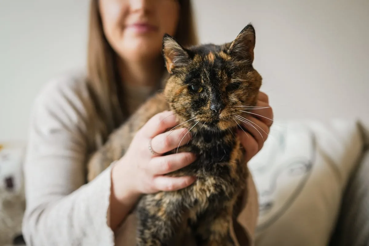 UK's Oldest Cat Flossie Dies Aged Nearly 28