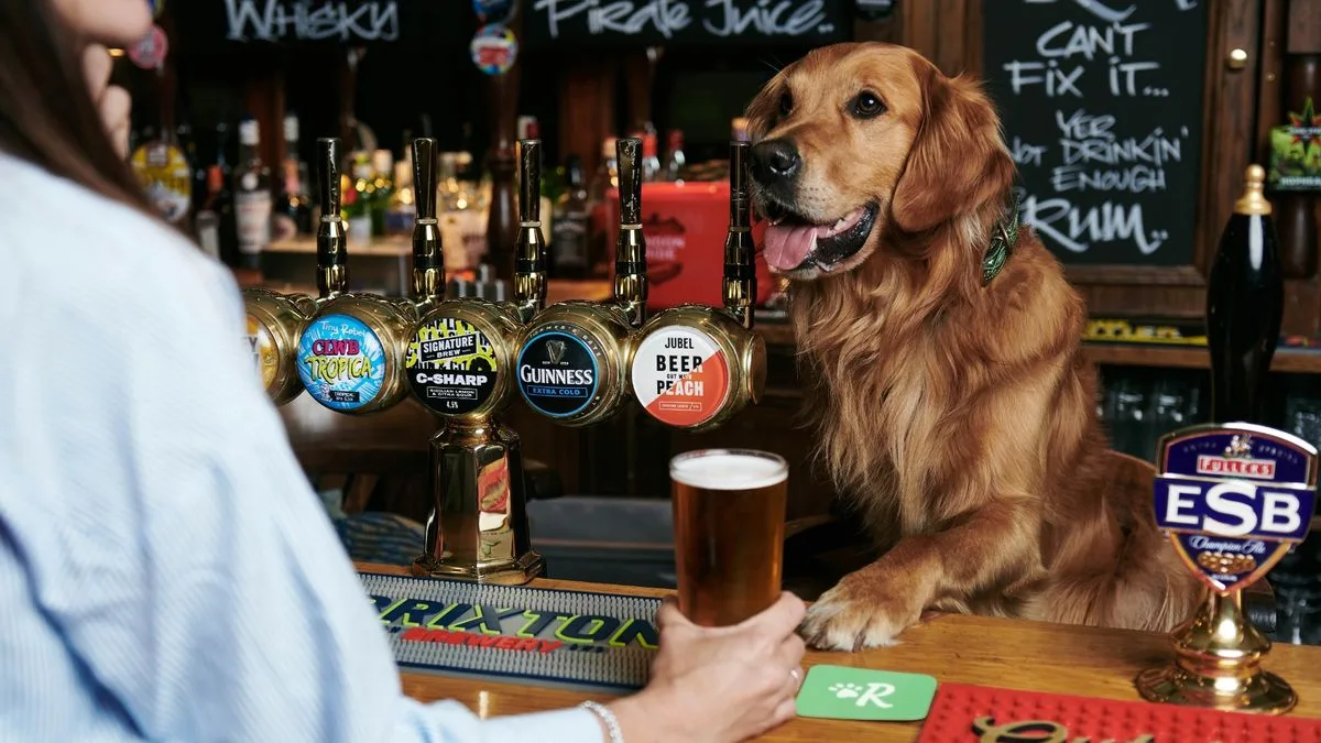 Full list of UK's top dog friendly pubs to visit this summer