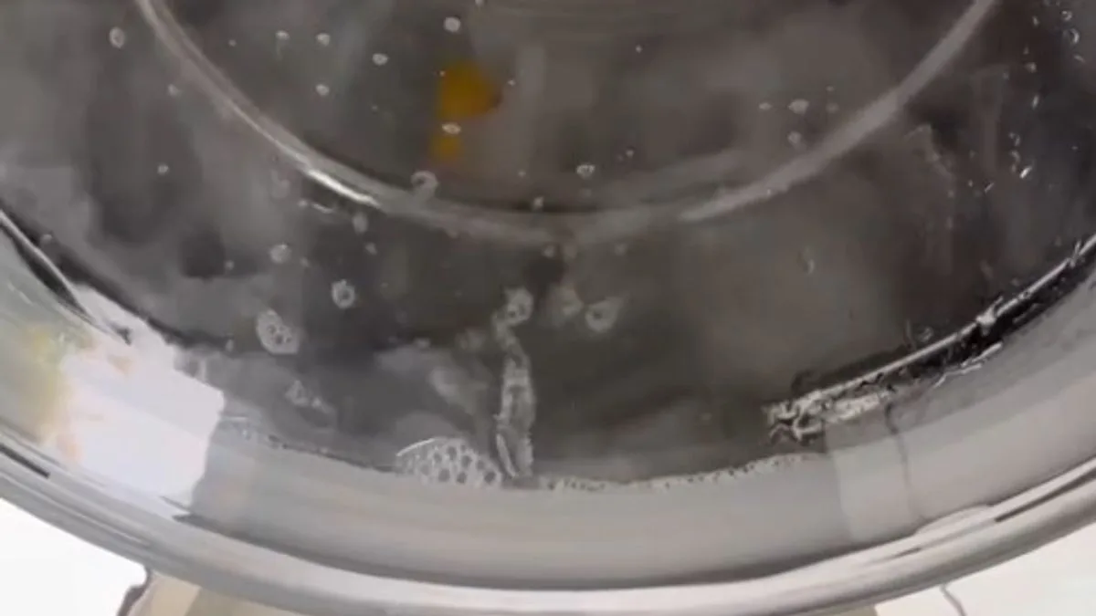 TikTok hack cleans washing machine with lemon and toothpaste