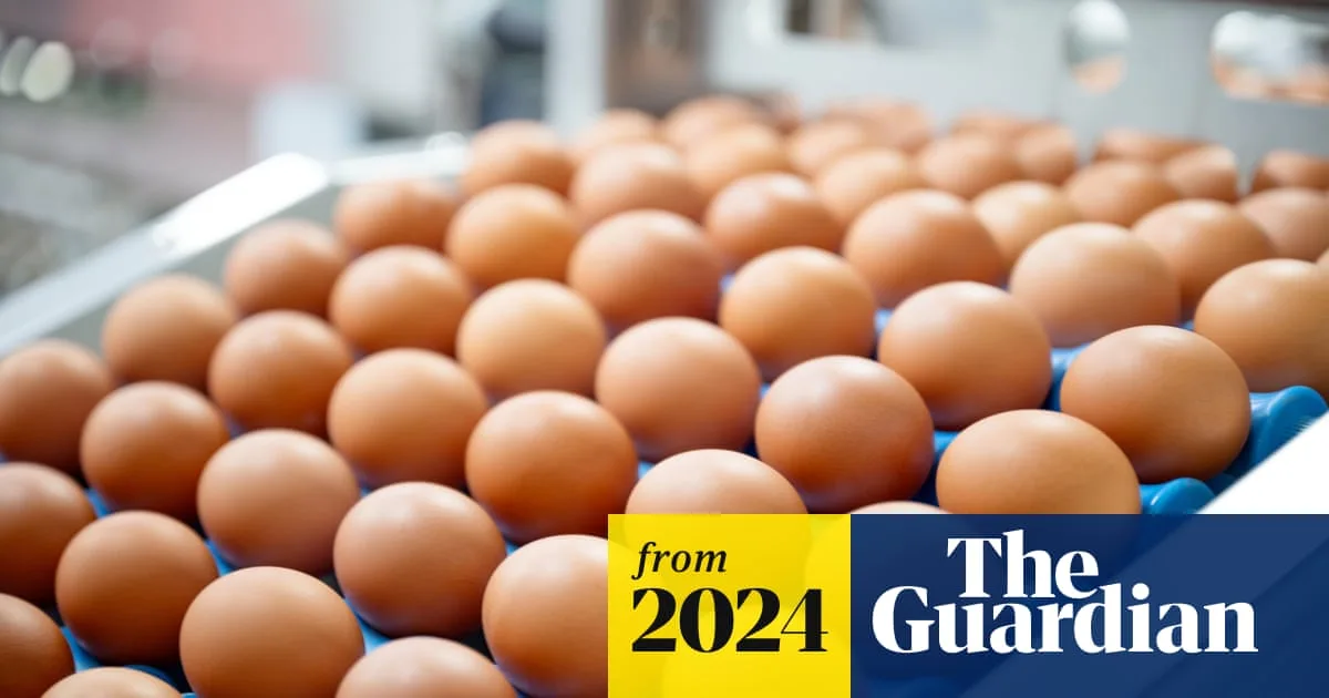 FDA Upgrades Egg Recall Warning to Most Serious Level After Salmonella Outbreak