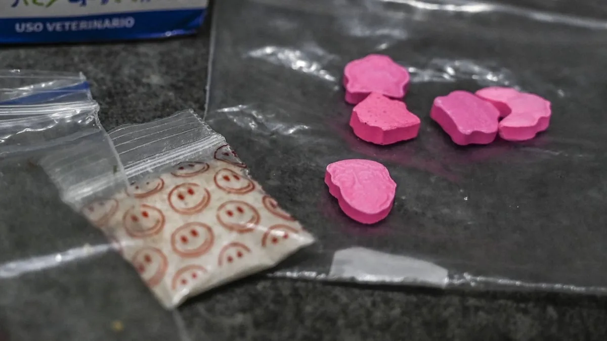 HSE Chief Issues Urgent Warning on Mixing Medication and Alcohol at Festivals