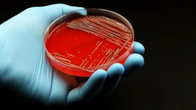 Antibiotics May Permanently Damage Gut Health, Experts Warn