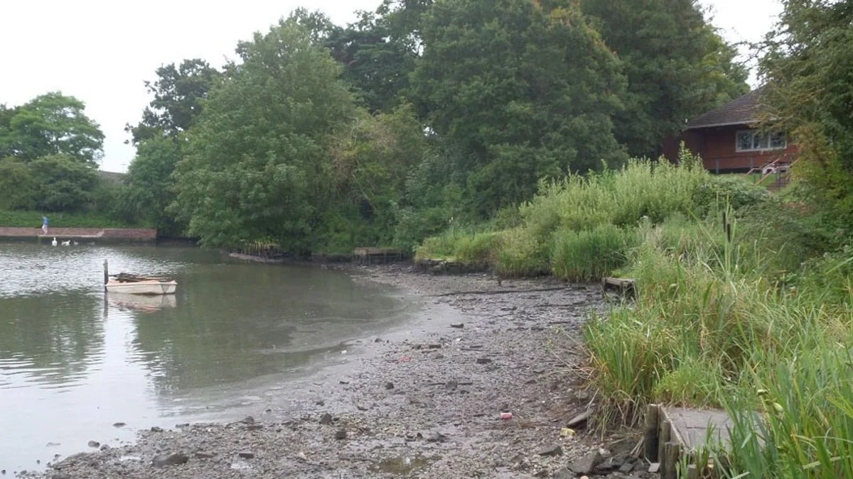 Vandal Drains Lake in Failed Search for Harley Davidson