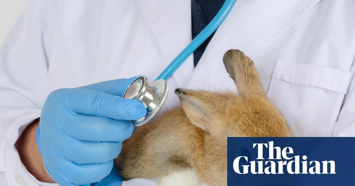Vets Must Cap Prescription Fees And Publish Price Lists