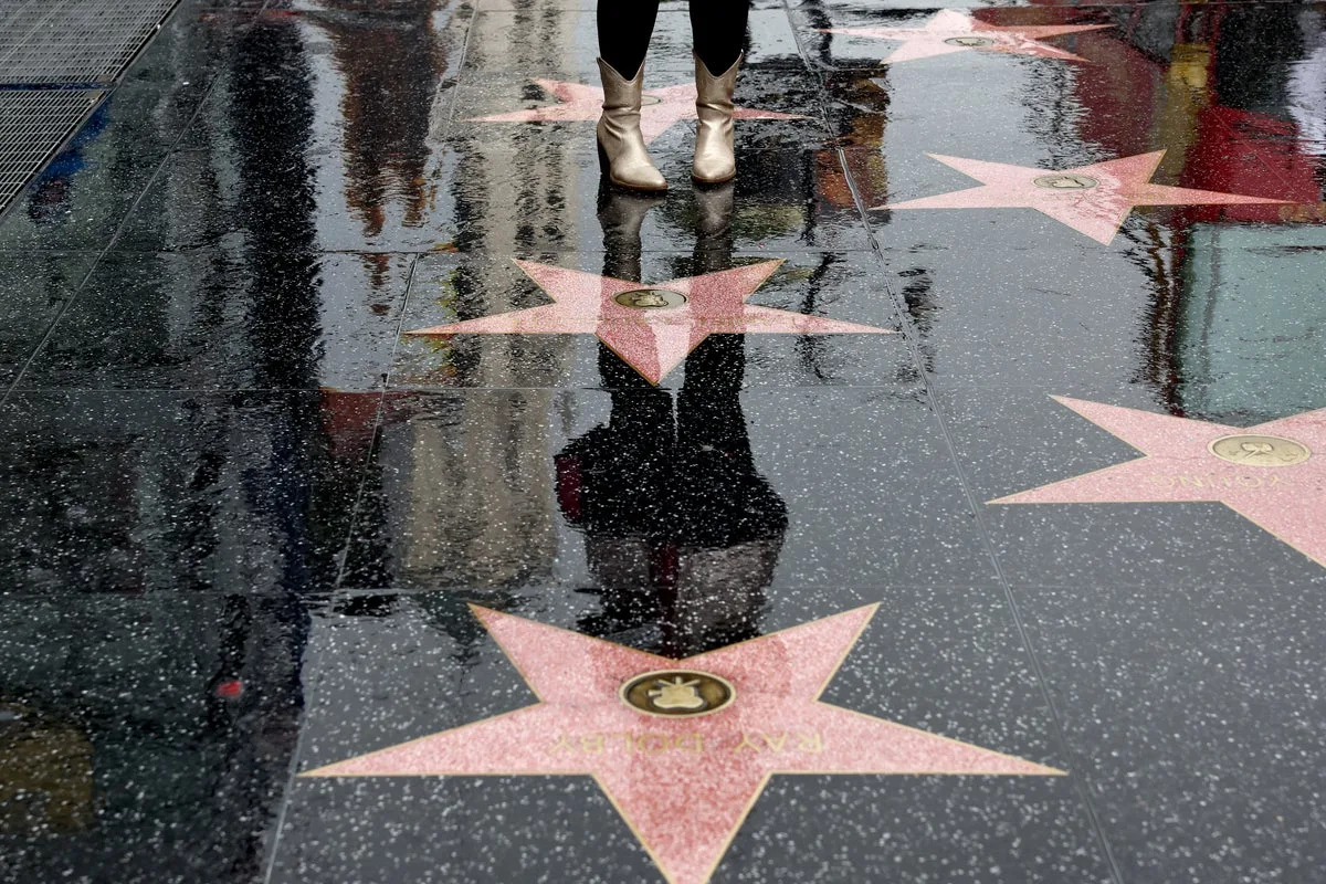 Violent Man Charged With Murder After Hollywood Stabbing