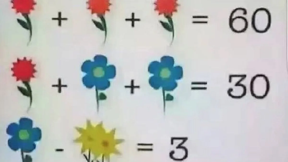 Flower Puzzle Baffles Internet, Maths Teacher Says It's Unsolvable