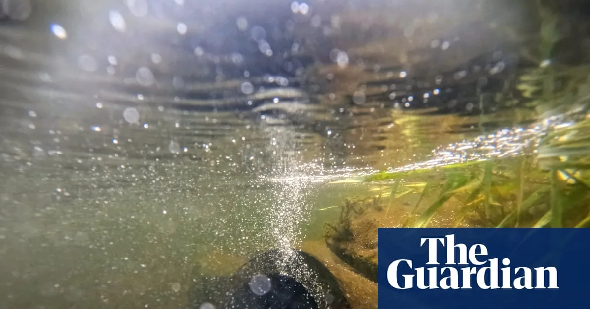 Water Bills to Rise Further for Millions in England as Regulator Approves Price Hikes
