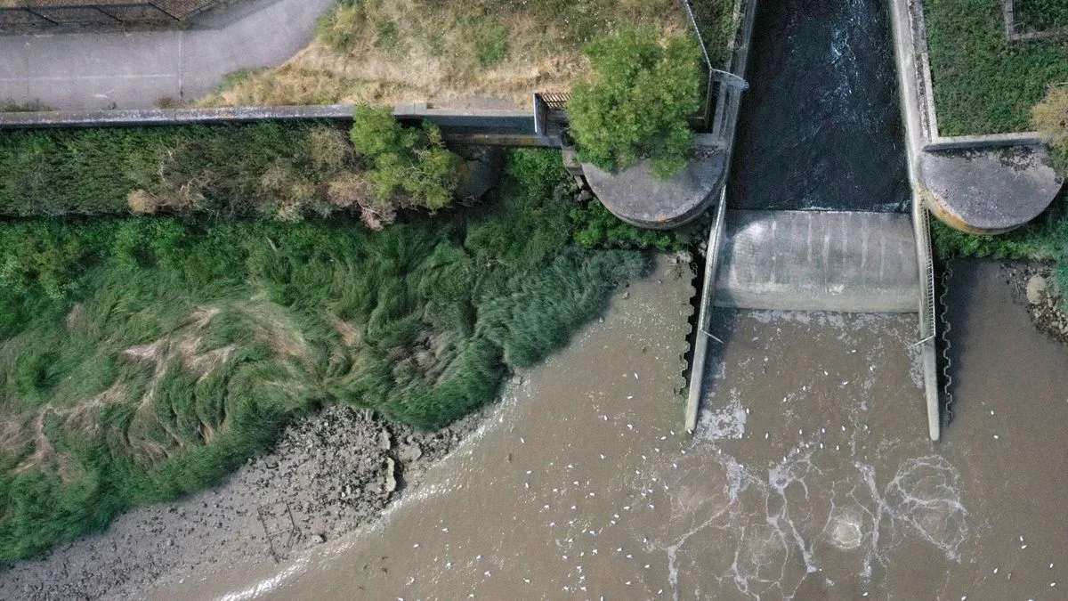 Water Companies Breached Environmental Rules 3,000 Times in Crackdown