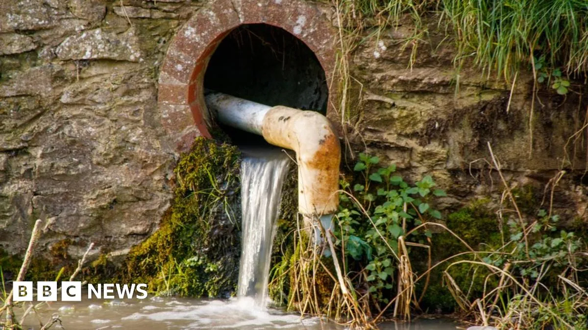Water Companies Face Unlimited Fines in Sewage Dumping Overhaul