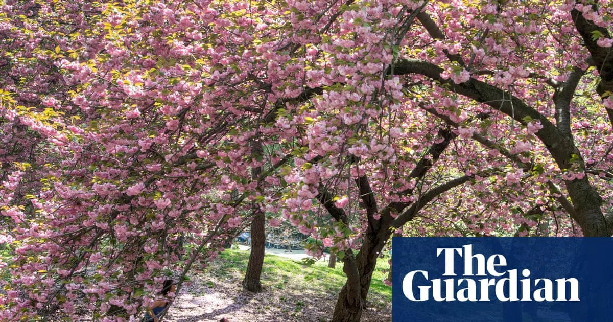 Whistler by Ann Patchett: A Saccharine Reunion Story