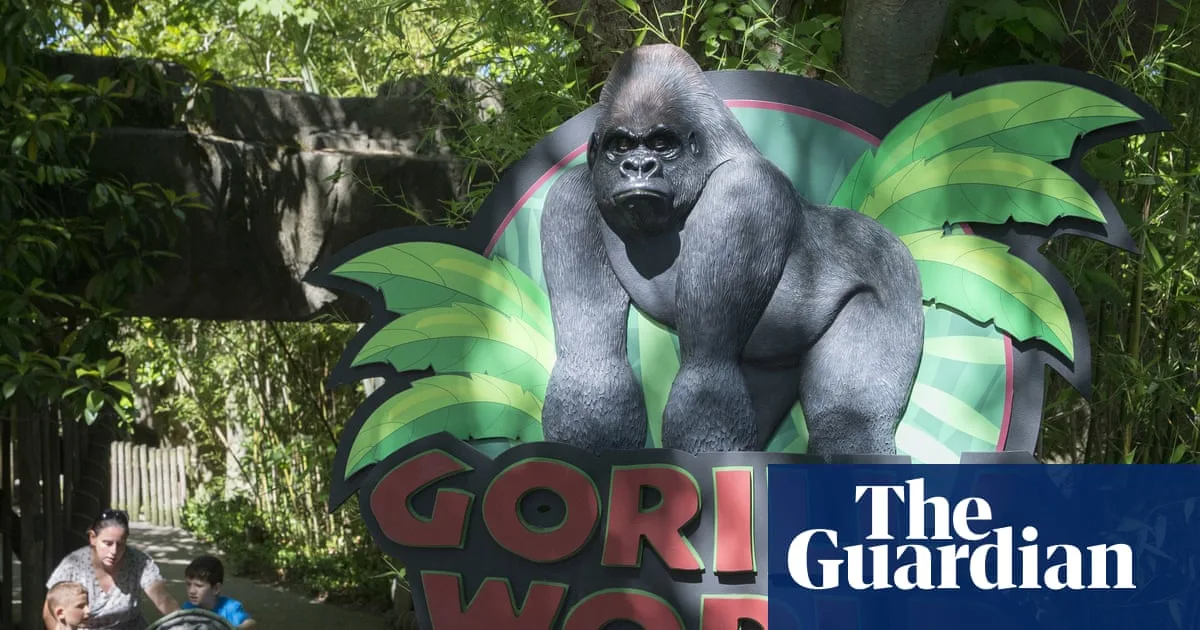 White House Pays Tribute to Harambe 10 Years On