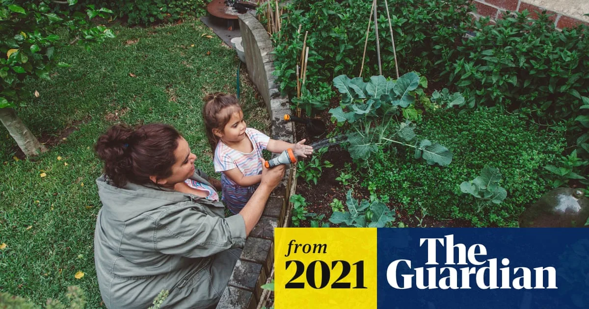 How to Protect Your Garden During Heatwaves: Expert Tips