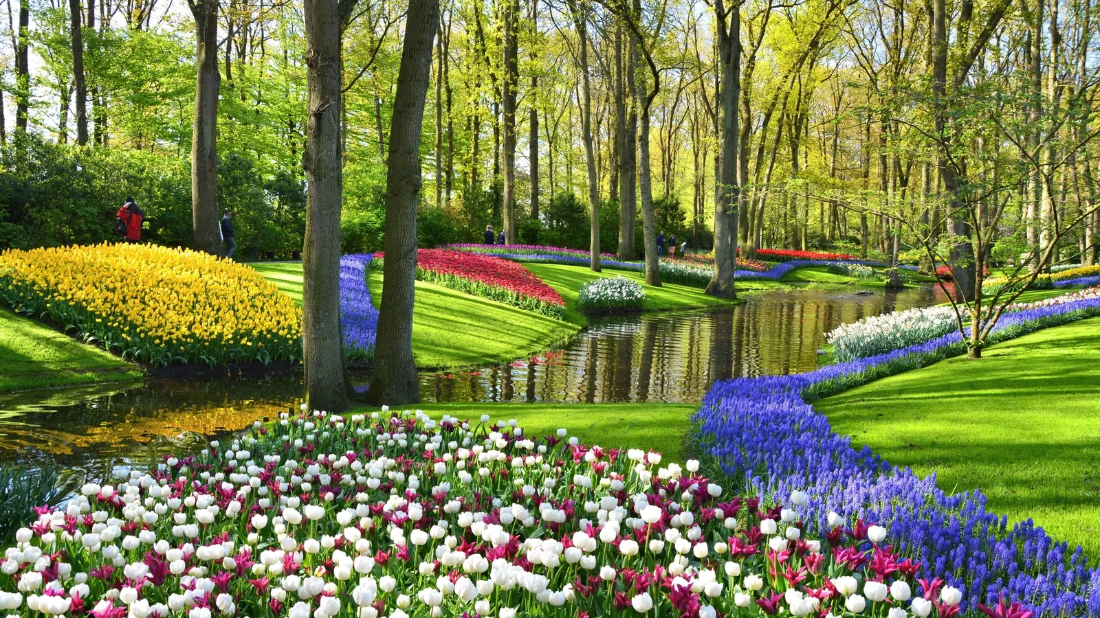 Wildflower Tourism Set to Be 2026's Top Travel Trend with Five Best Destinations