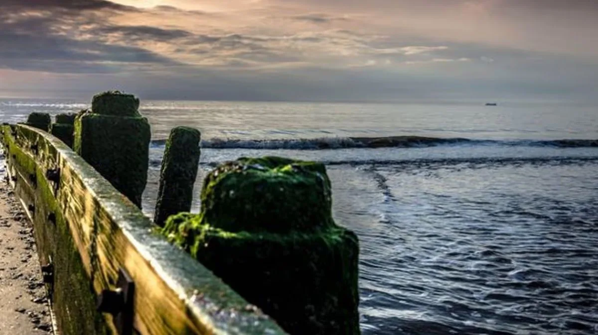 Woman Dies, Man Critical After Sea Rescue of Pet Dog in Lancashire