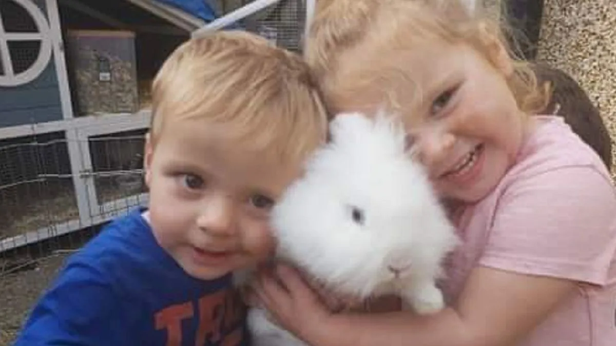 Van Driver Jailed for Killing Two Children in M4 Crash