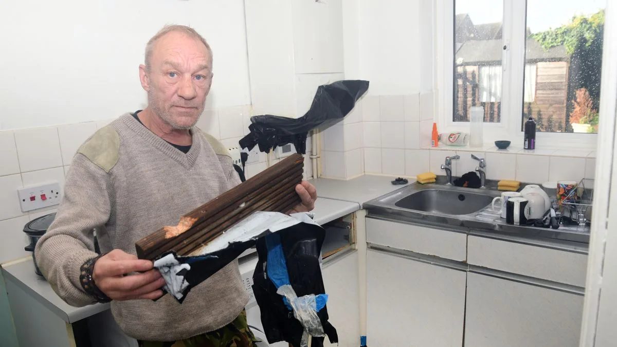 Disabled Man Finds 'Foot-Long' Rat Behind Washing Machine in Rat-Infested Home