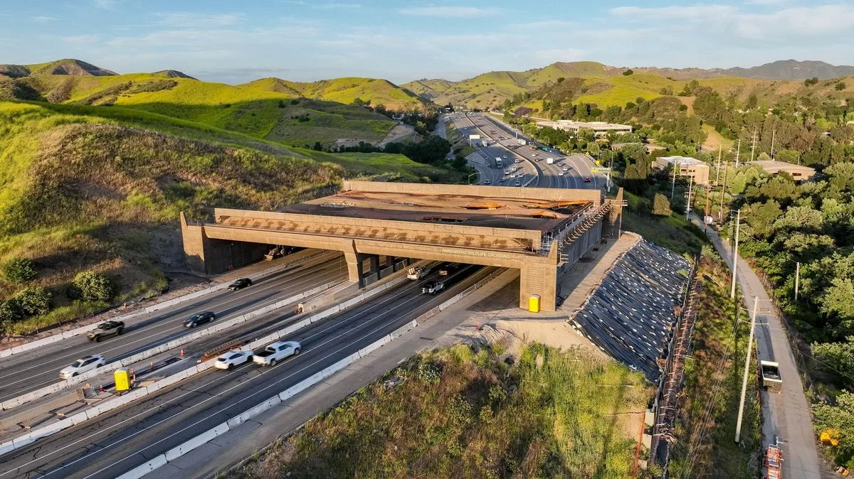 World's Largest Wildlife Bridge: £85m Crossing for Cougars and Lions