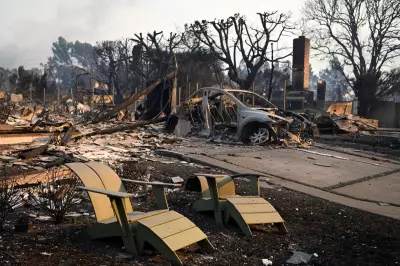2025 Becomes Costliest Year on Record for Wildfires, Study Finds