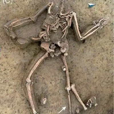 77 Headless Skeletons Found at 7,000-Year-Old Slovak Farm Baffle Archaeologists