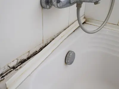 Banish Black Mould from Bathroom for Good with £1 Miracle Product