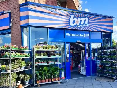 B&M's £4 Cupboard Organiser: 'Cupboards Stay Tidy' for Shoppers