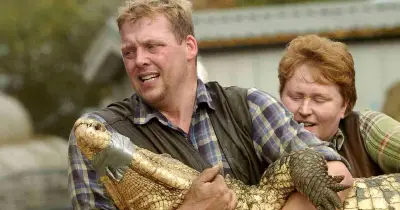 Boy, 3, Thrown into Crocodile Enclosure at UK Zoo Rescued by Hero Family Members