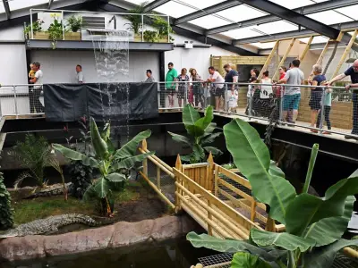 Carers Tried to Flee After Suspect Threw Boy, 3, into Croc Pit