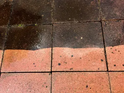 Clean Patios in 5 Hours with One Natural Household Item