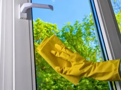Clean Windows Streak-Free Using Only a Cup of Tea This Summer