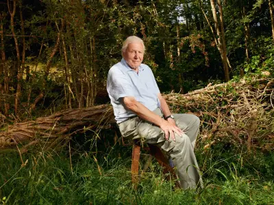 David Attenborough Urges Cat Owners to Make One Simple Change