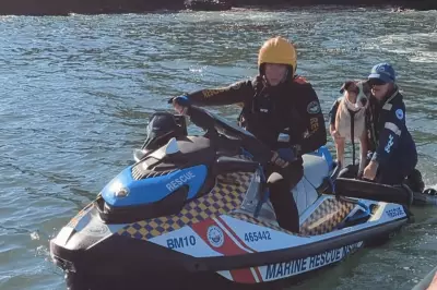 Dog Rescued After 800m Swim to Remote Australian Island