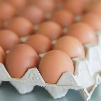 Don't Trash Egg Cartons: Gardener Reveals Genius Repurposing Hack