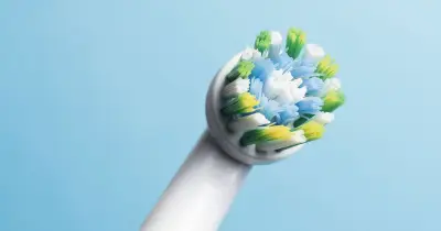 Electric Toothbrush Boosts Tomato Pollination in July Heat