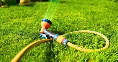 Epsom Salt: The Bathroom Item That Makes Lawns Greener and Healthier