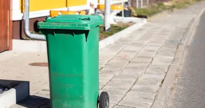 Experts Agree: Talk to Neighbors About Bins Left Out