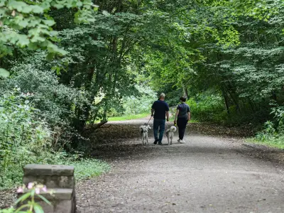 Five Shady Woodland Walks in Greater Manchester to Escape Heatwave