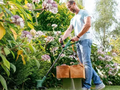 Gardeners Snap Up £30 Bosch Electric Grass Trimmer with Rave Reviews