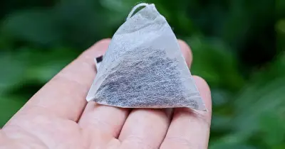 Gardeners Urged to Reuse Teabags in June for Healthier Flowers
