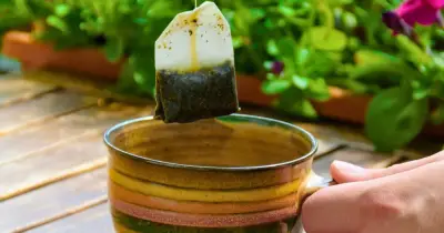 Gardeners Urged to Scatter Teabags in Gardens This June to Beat Heatwave