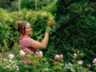 Gardeners Warned Not to Trim Hedges in June for Surprising Reason